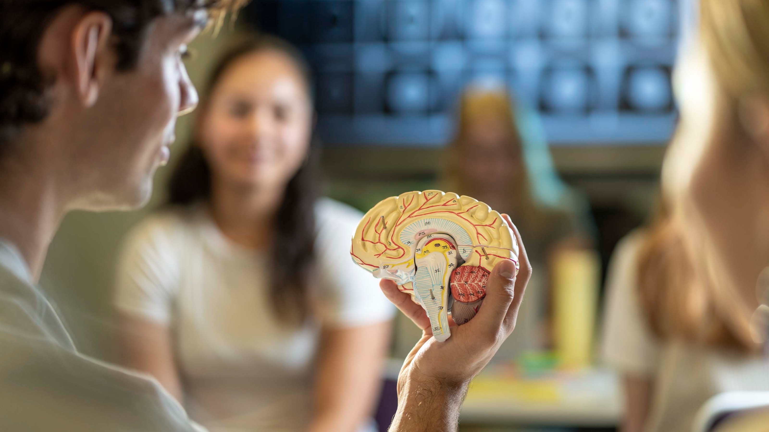 Looking over shoulder of young man holding a model of one hemisphere of a human brain
