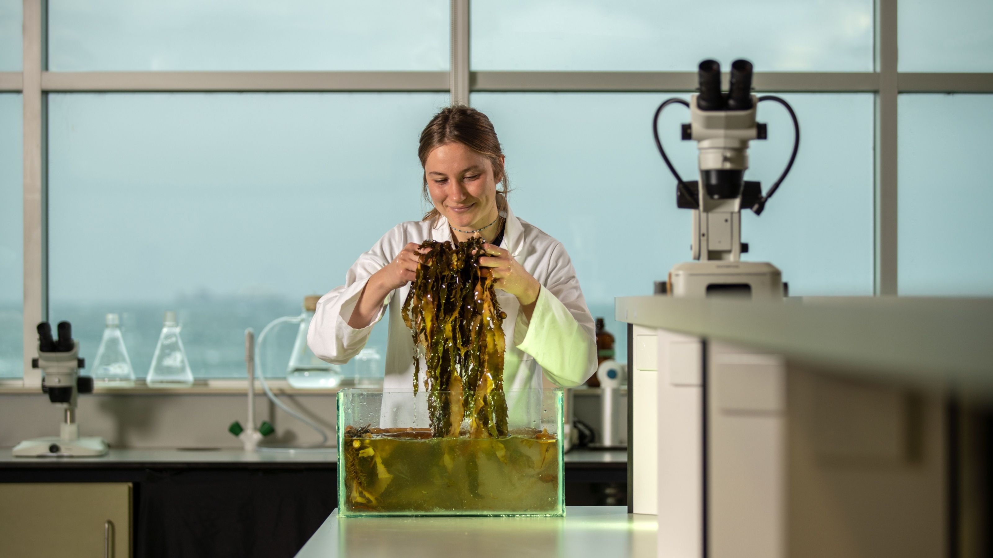 Lisa Wolf looking at seaweed in a tank in a laboratory