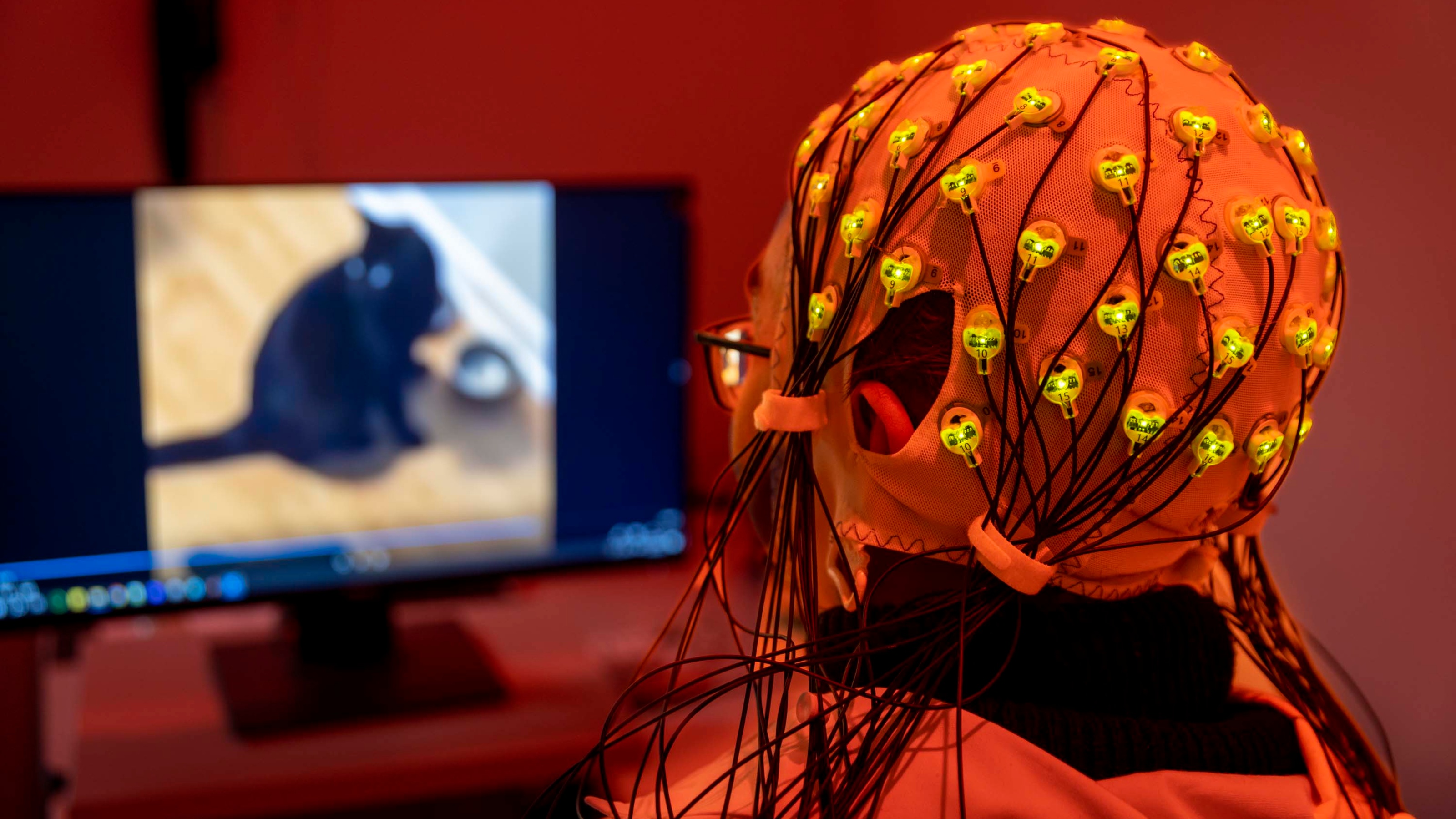 A person wearing an EEG cap fitted with yellow sensors and black wires watches a screen displaying a black cat, in a red-lit research lab.