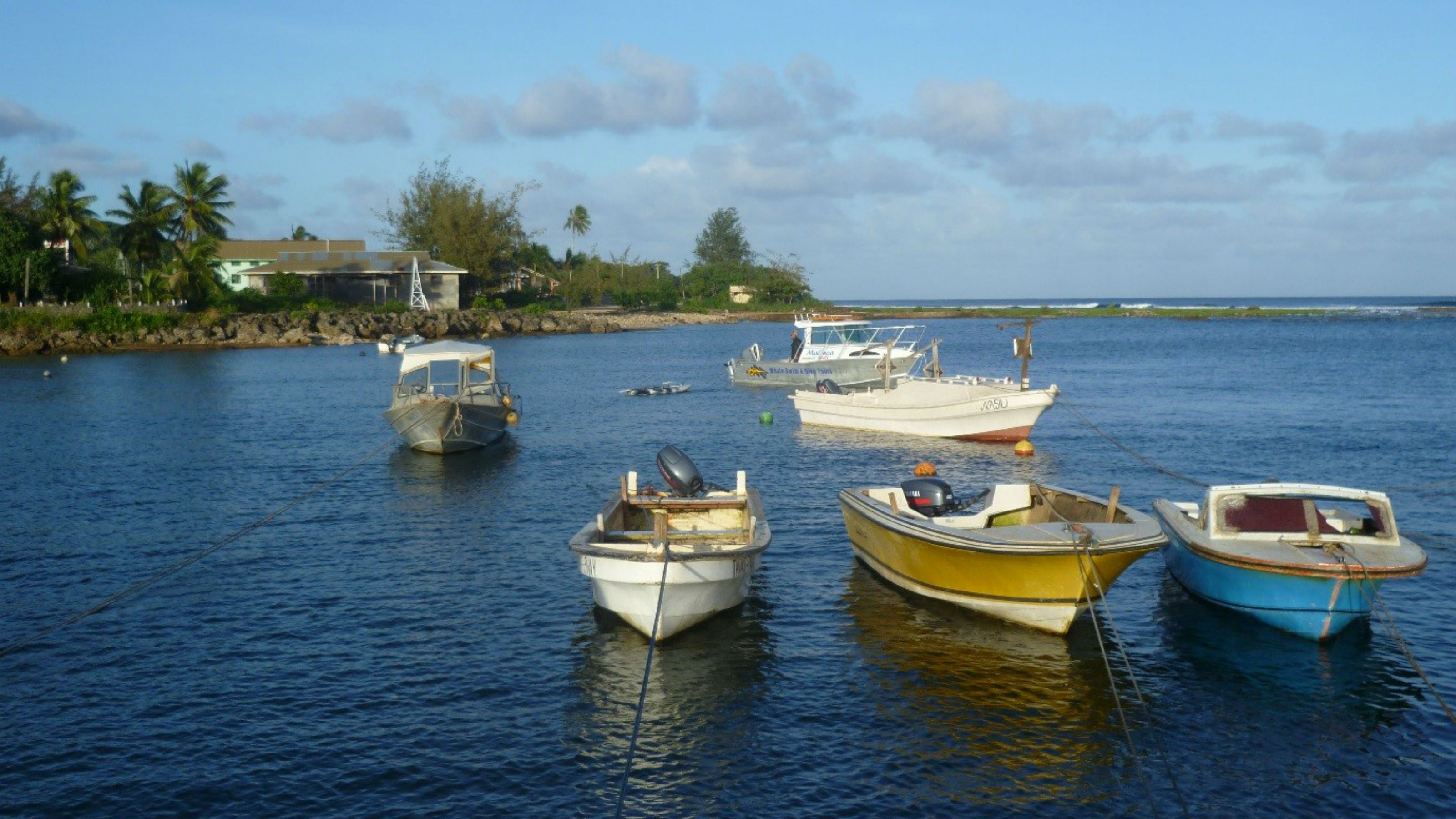 The 'ocean lab' - ‘Eua harbour, Tonga (2016).