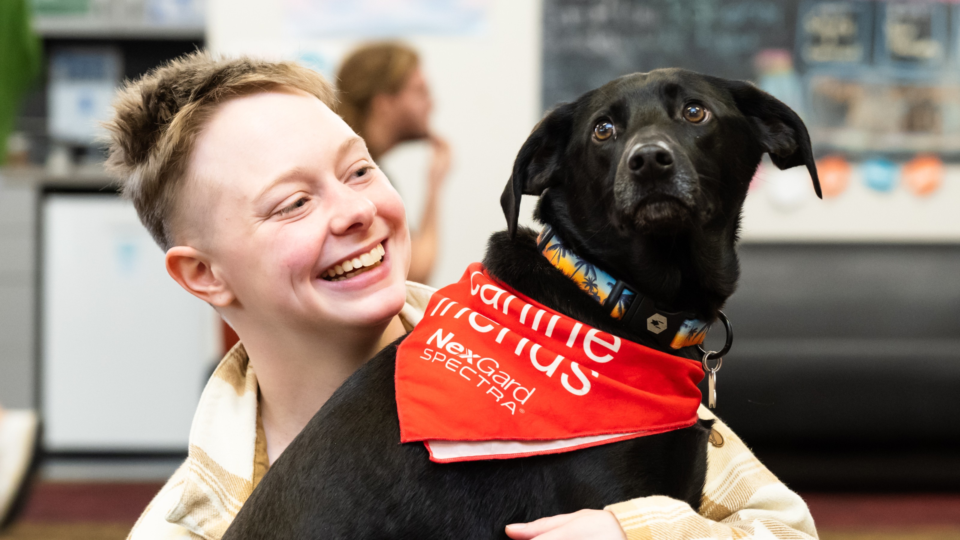 Student with short, blonde hair is holding with one hand and looking at dog and smiling, while the black dog stands in front of them looking up and away, and is wearing a red bandana that says 'Canine Friends' on it and a collar with an orange and blue sunset and palm trees.