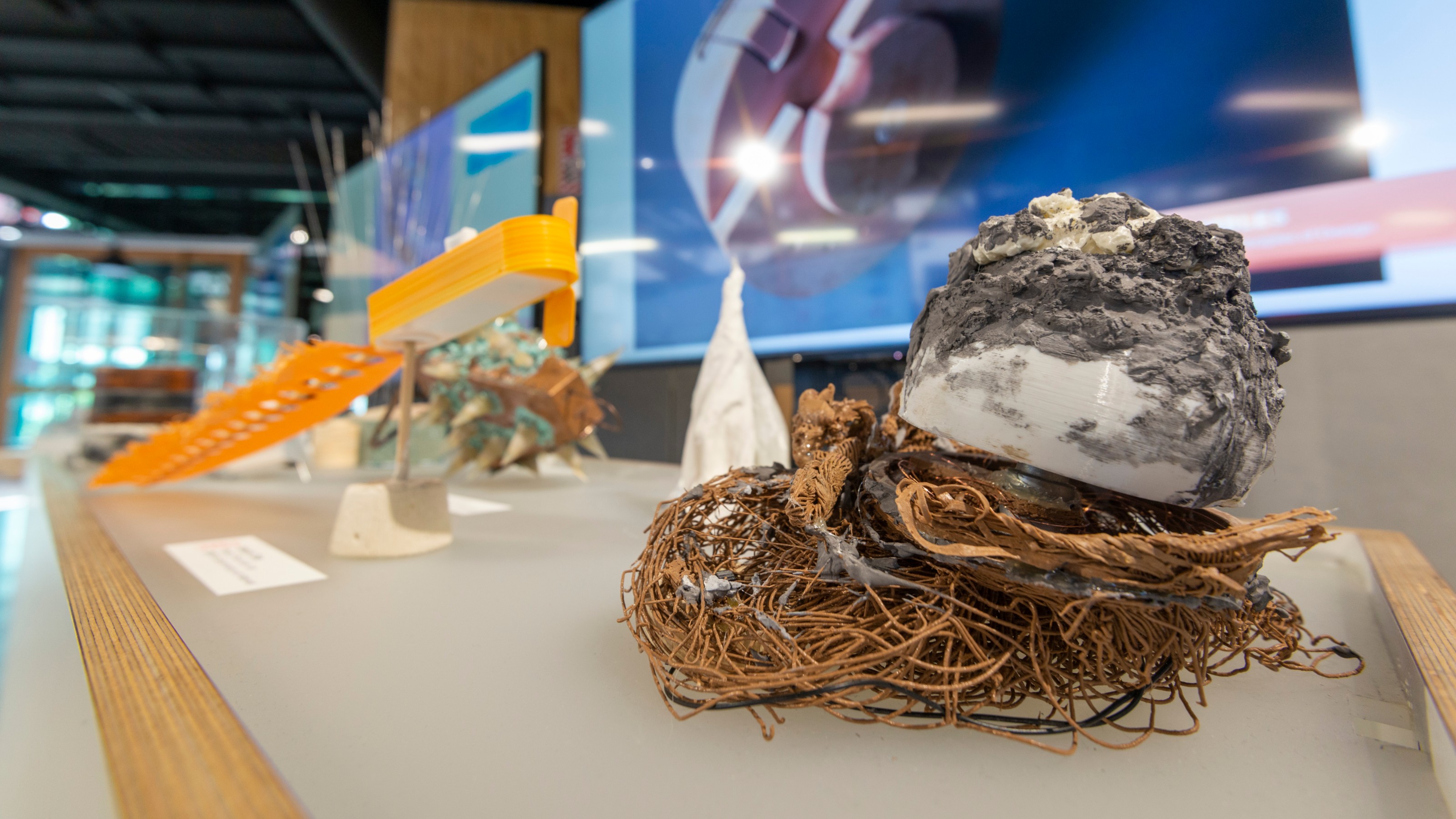 Design students work on display at Wellington Faculty of Architecture and Design Innovation End of Year Exhibition 2019
