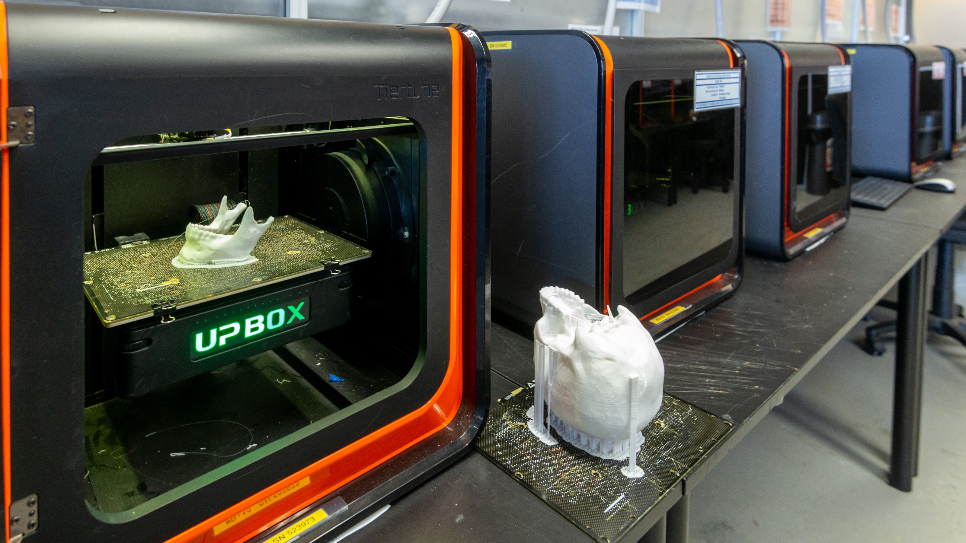 Up box desktop 3D printer printing plastic skull