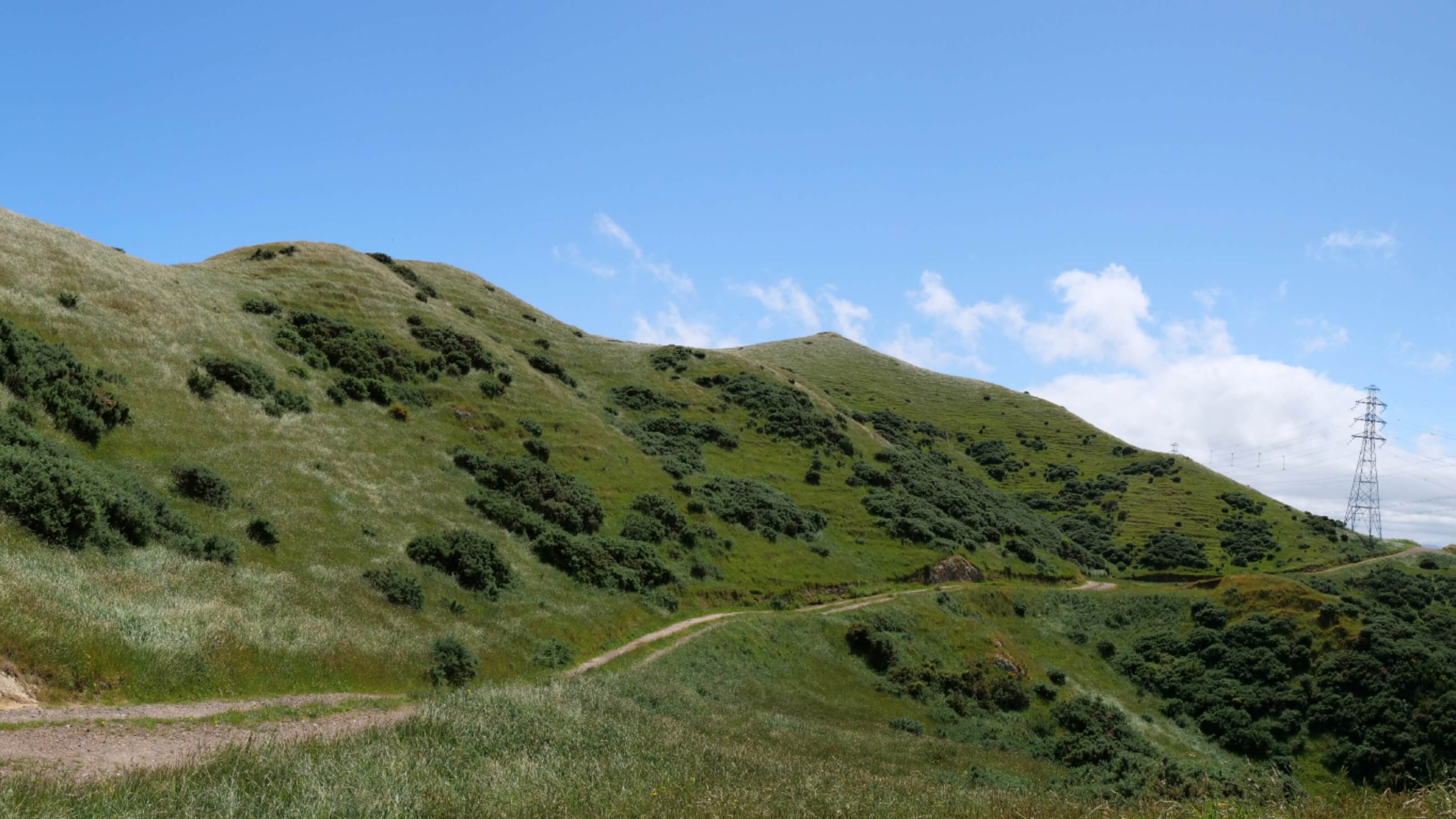Ohariu Valley planting site