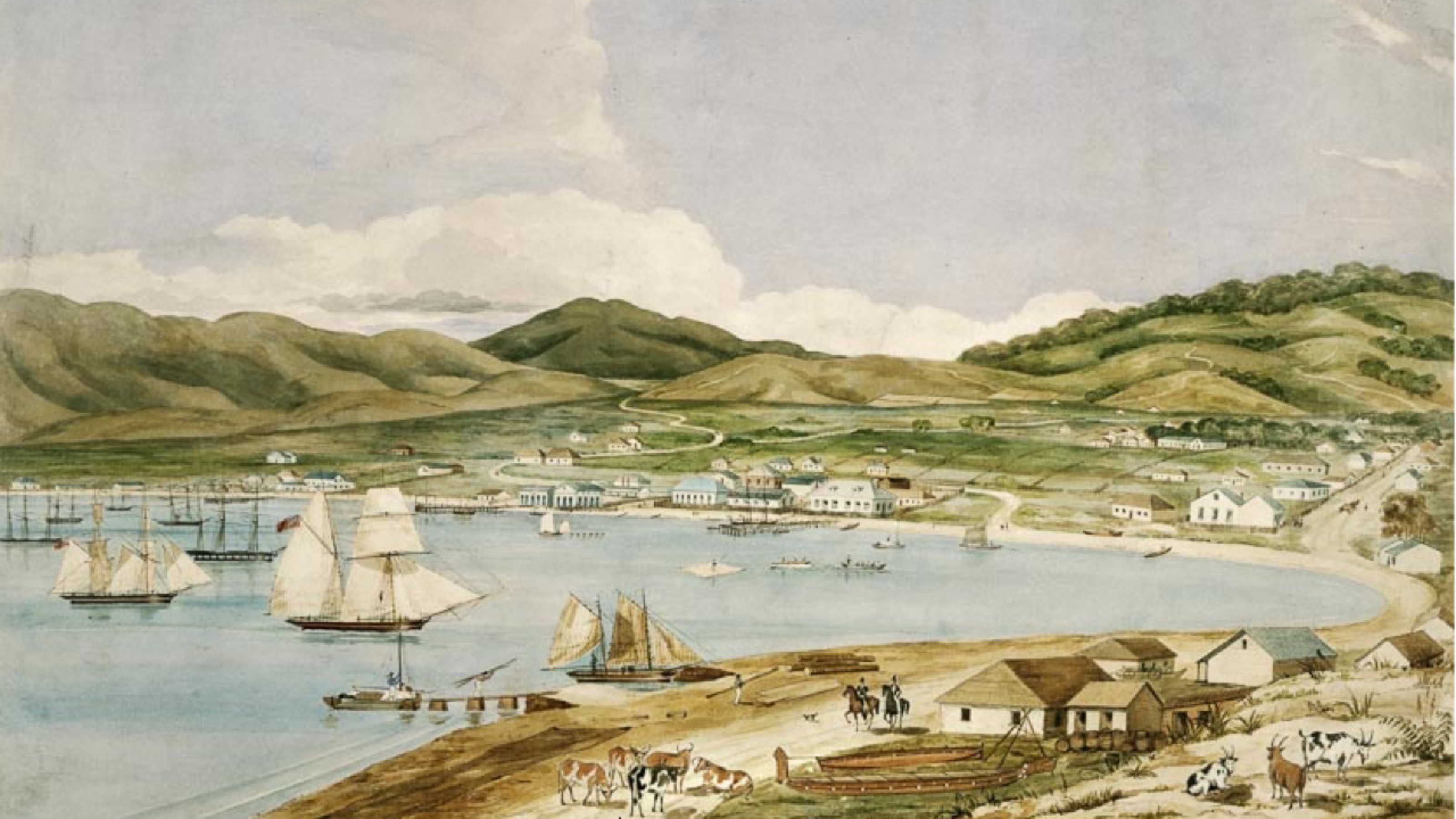 Wellington Harbour by Charles Heaphy