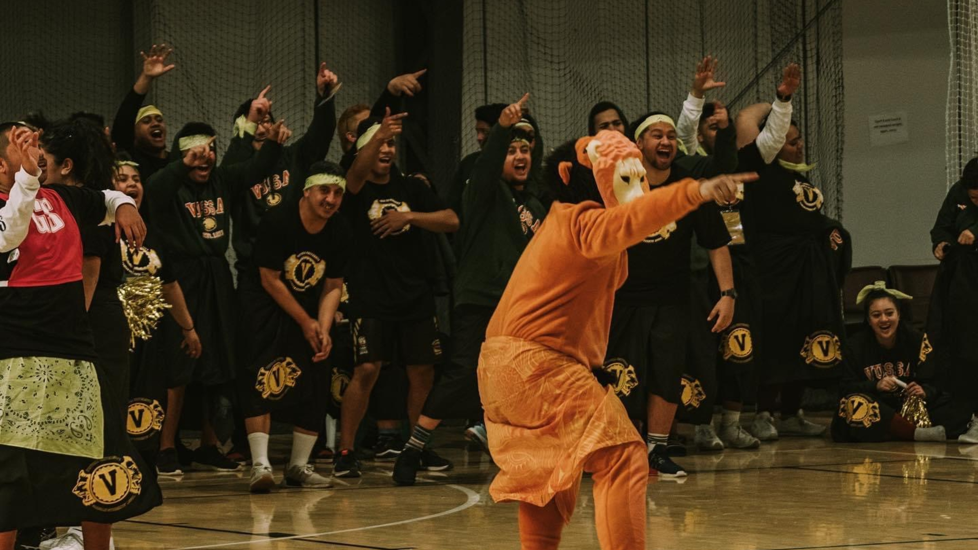 Lion mascot during sports game.