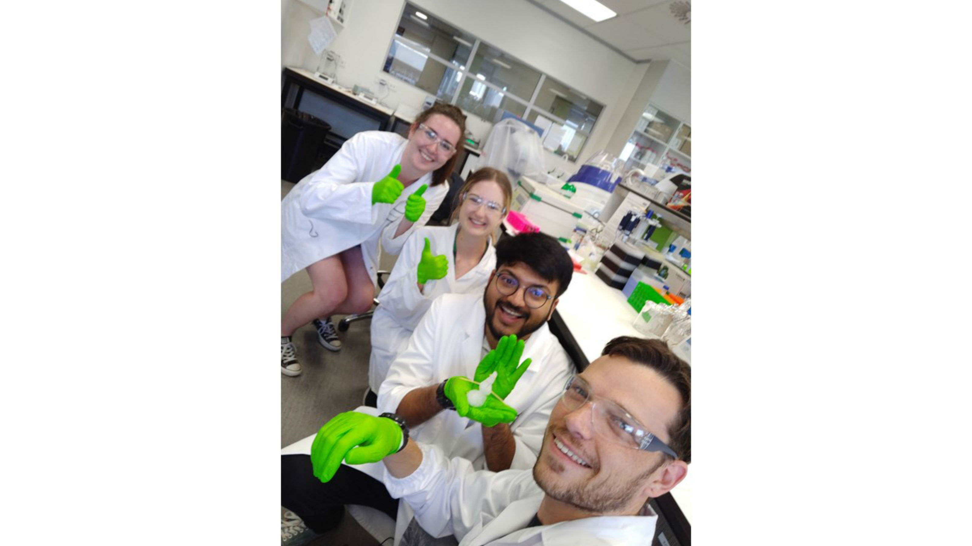 Back to front: Rose McLellan (PhD candidate), Michelle Gramse (Summer Student), Rudy Bundela (PhD candidate), Kyle Van de Bittner (Postdoc).