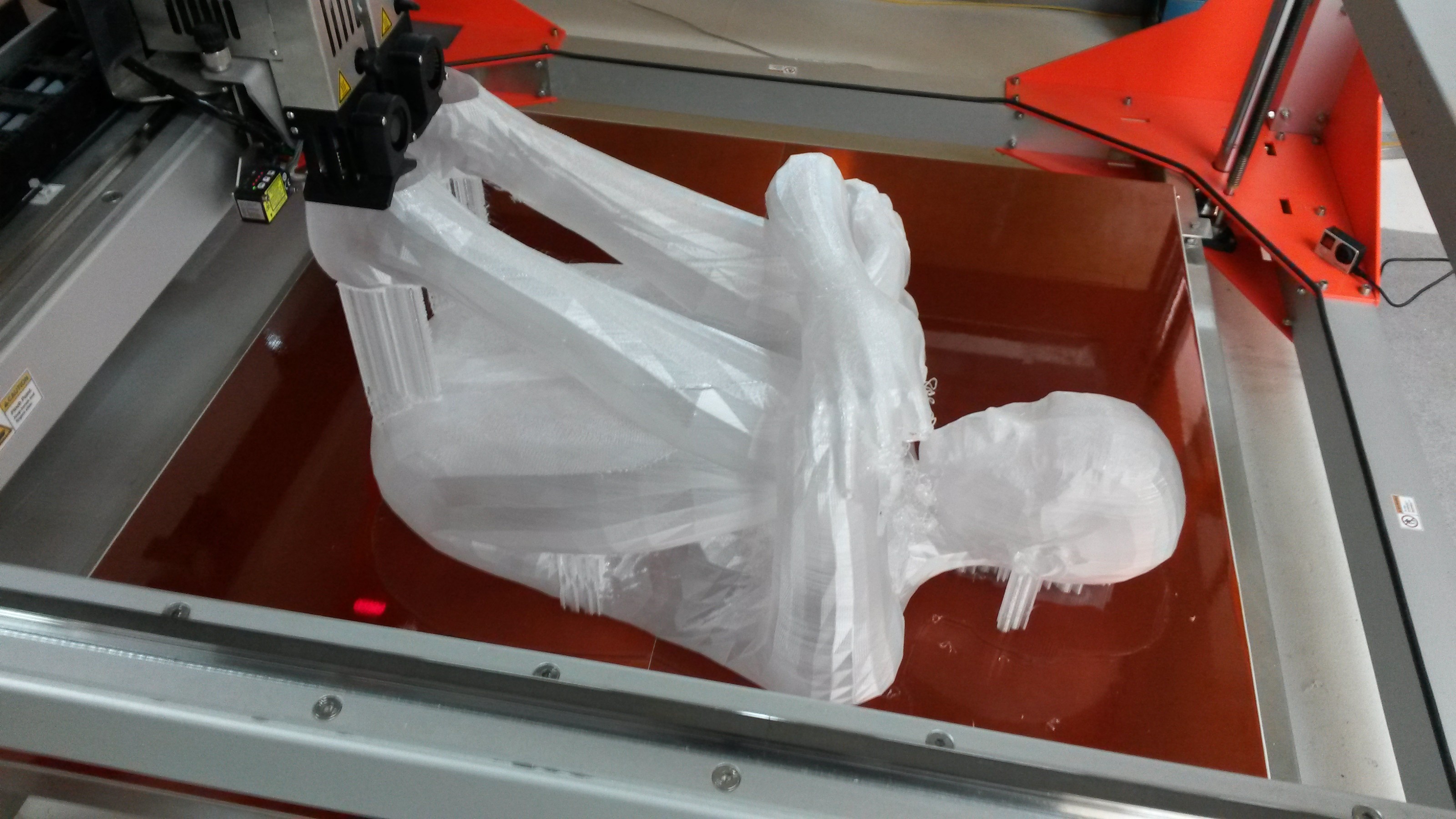 3D printed model of person being printed