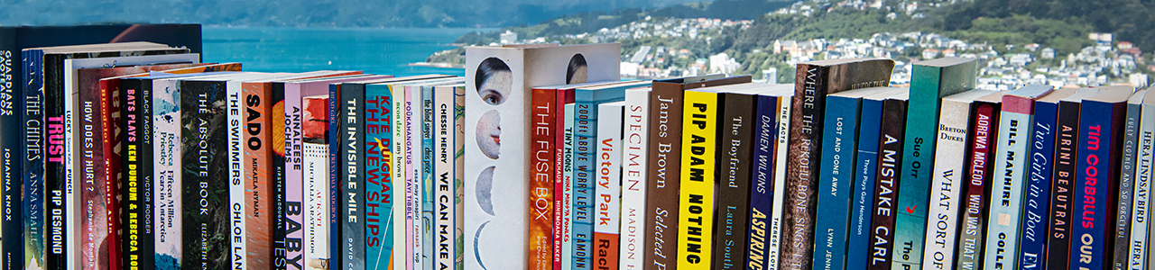 A close up image of books on a shelf in front of a window with Wellington in the background.