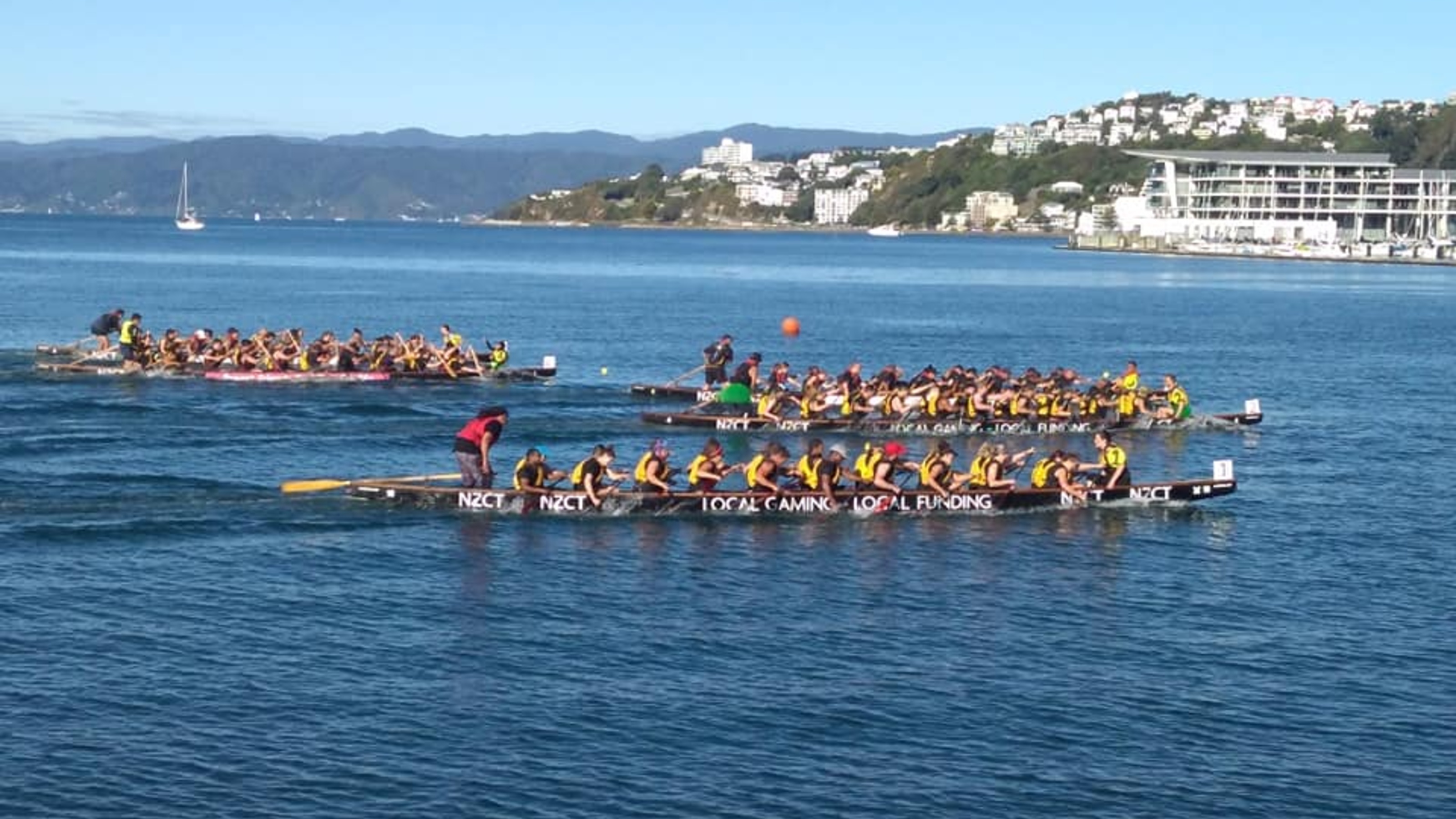 Dragon boat race with boats on water at Wellington waterfront.