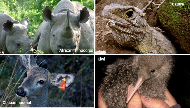 Endangered species