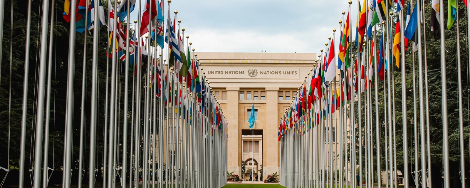 Two lines of international flags lead to yellow UN building in the distance