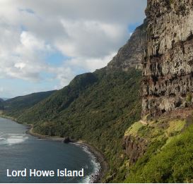 Island biology