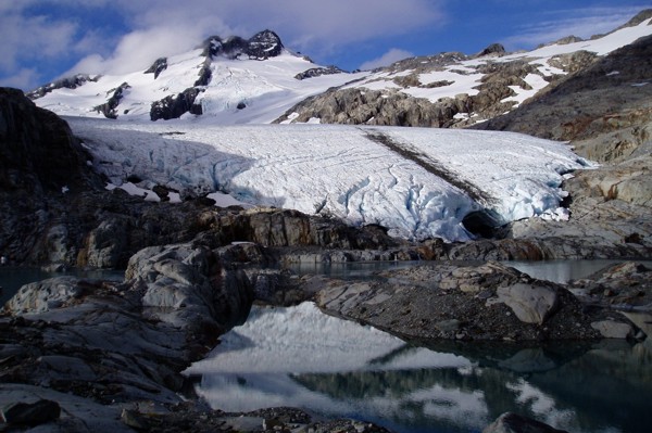 Brewster Glacier c. Andrew Mackintosh 2005
