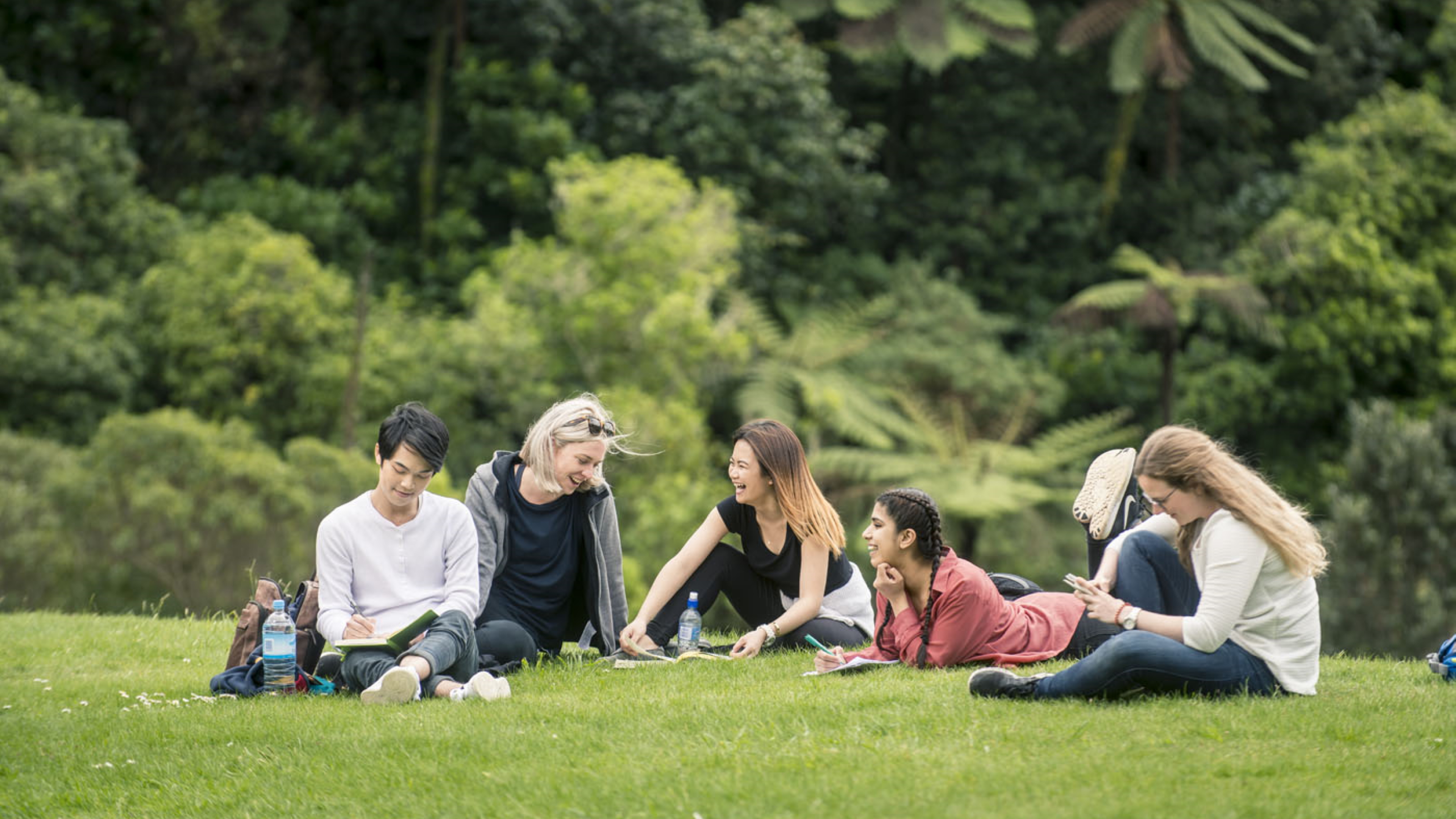 Five students enjoying the sunshine in a field at Zealandia, Wellington