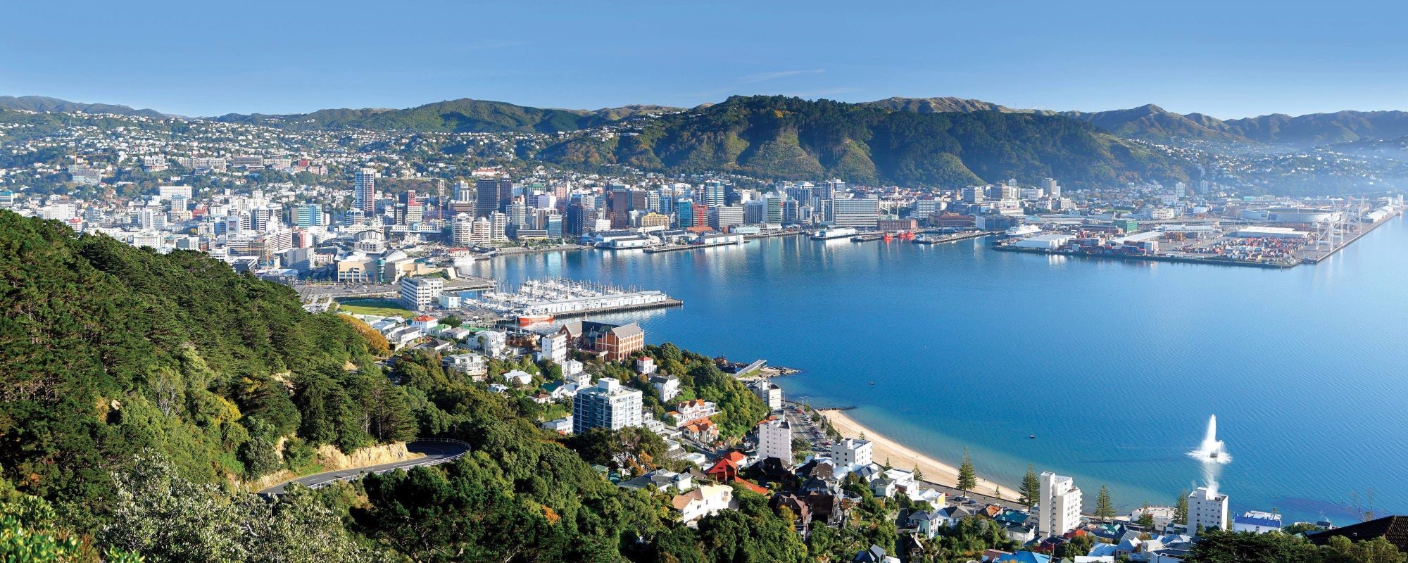 Drone view of Wellington from Oriental Bay looking over the water to the city