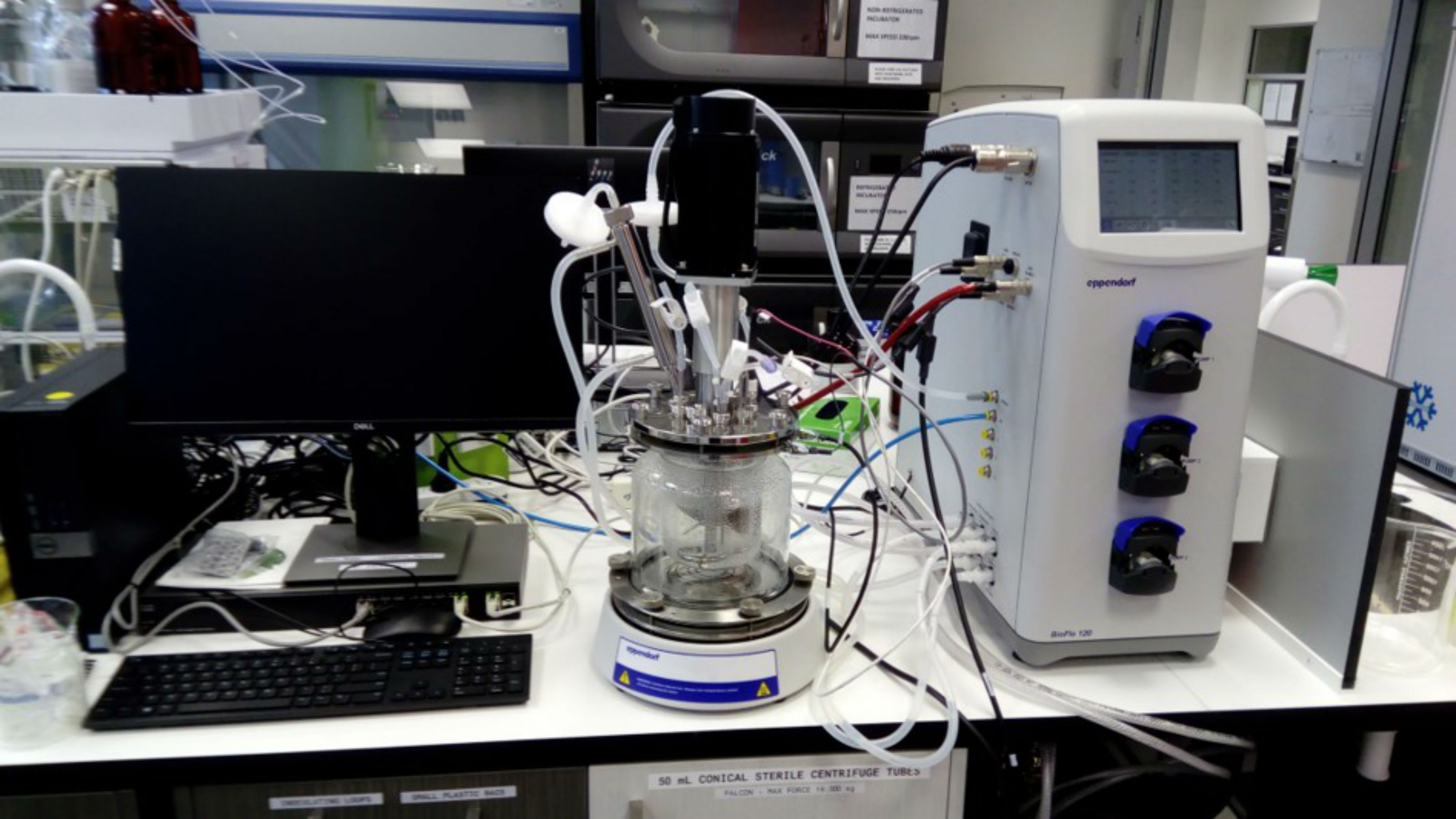 Our new 1 L bioreactor to help us optimise growth conditions of fungal cultures.