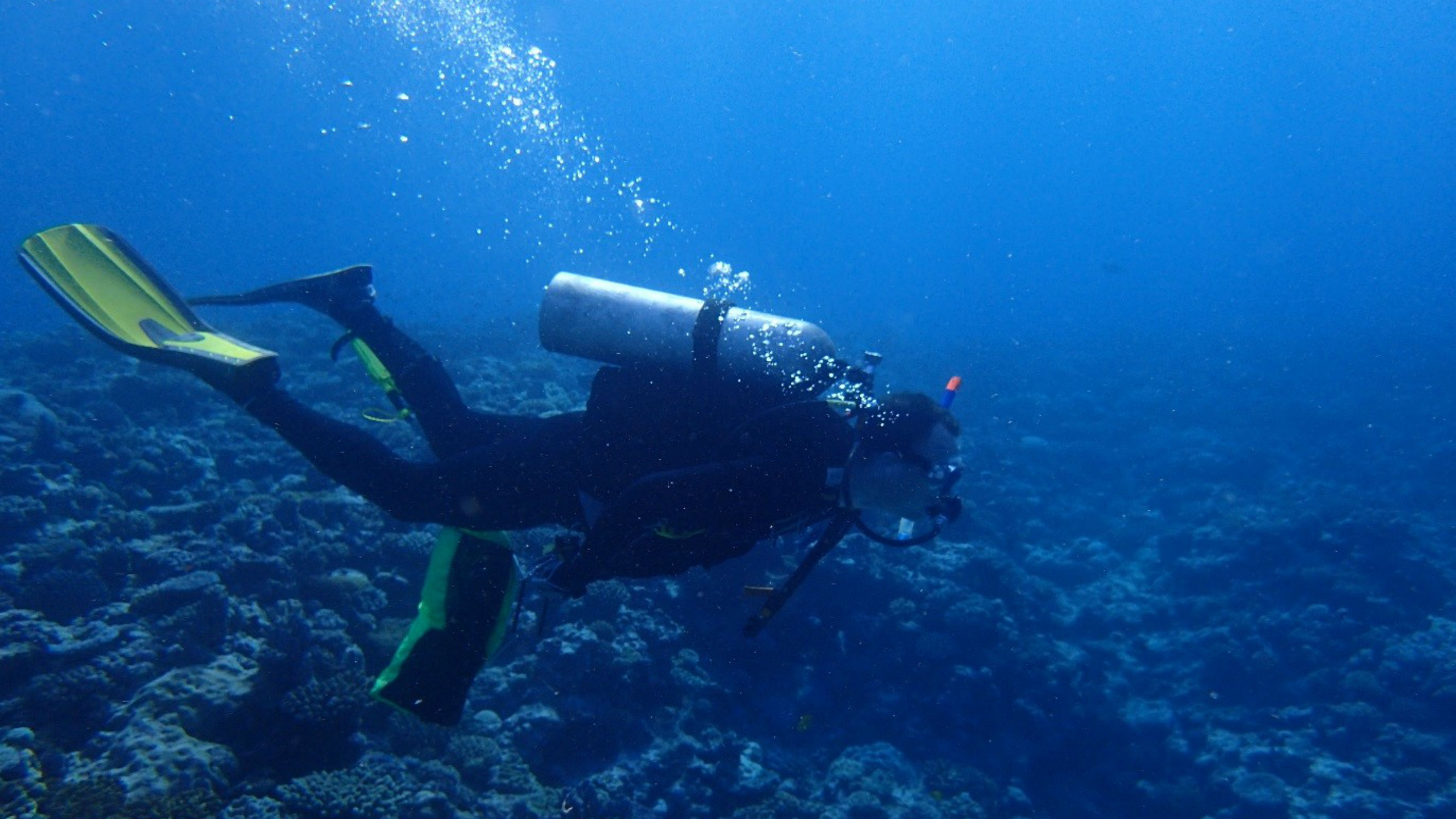 Tropical diving at ‘Eua, Tonga (2016)