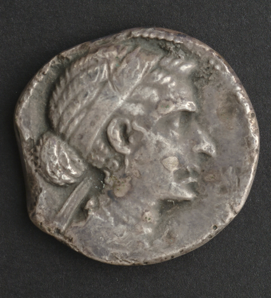 Cleopatra coin.jpg Cleopatra coin