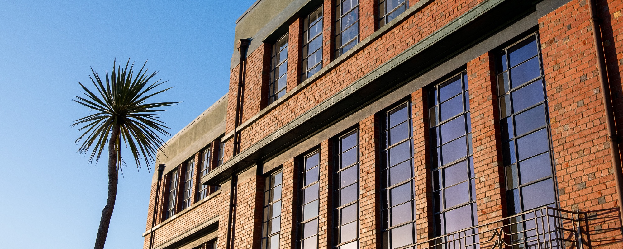 Brick building against blue sky with silhouette of cabbage tree