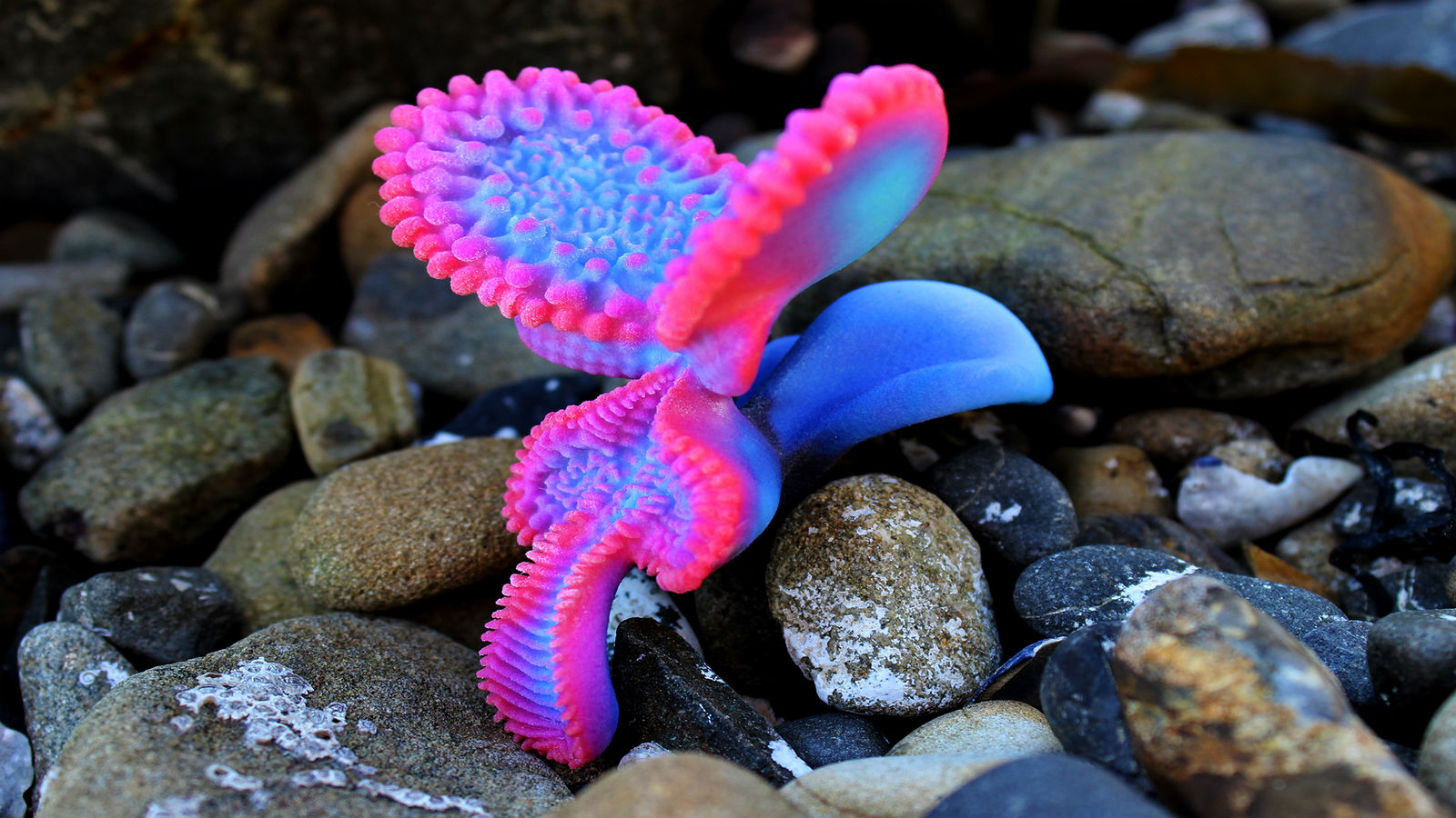 rsz-1design-about2.jpg Biological Camera for INDN 204 Advanced Visualisation and 3D Modelling, by Nicole Hone—a concept for a camera. Close up of brightly coloured object that looks like a sea organism underwater.