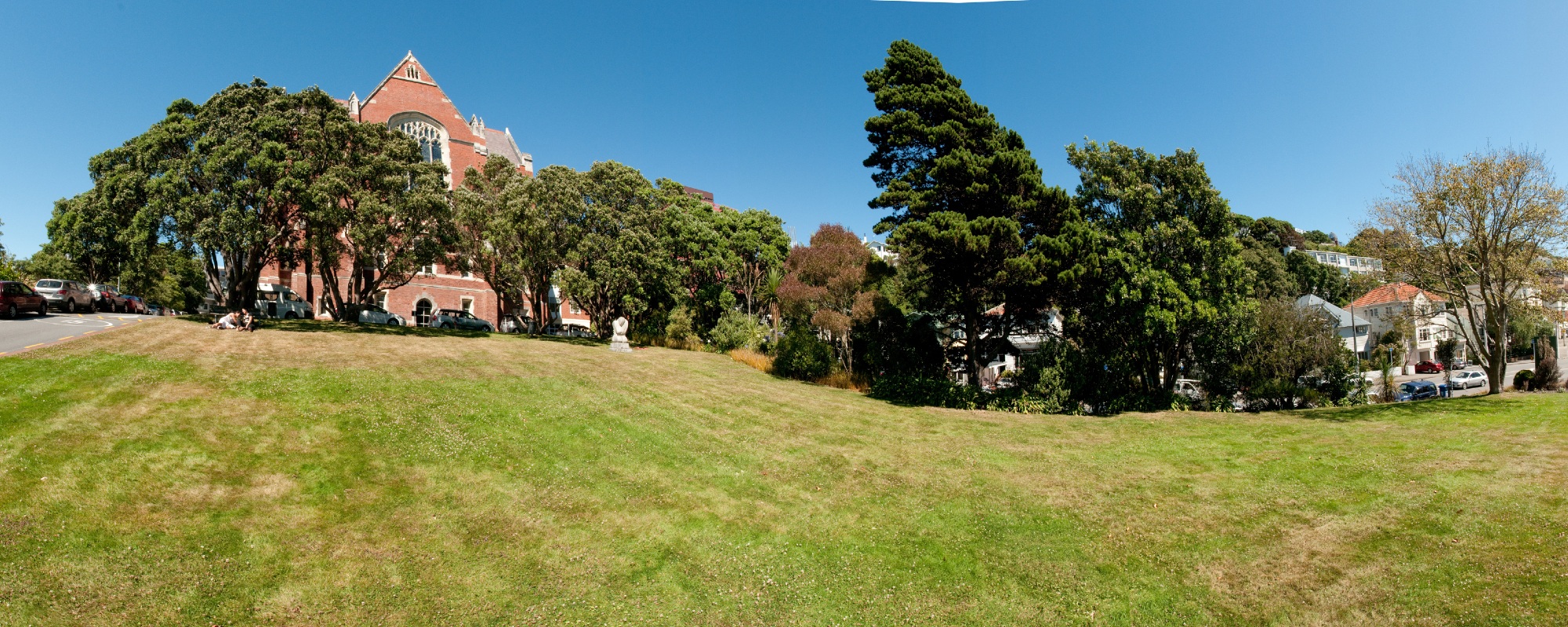 Hunter lawn