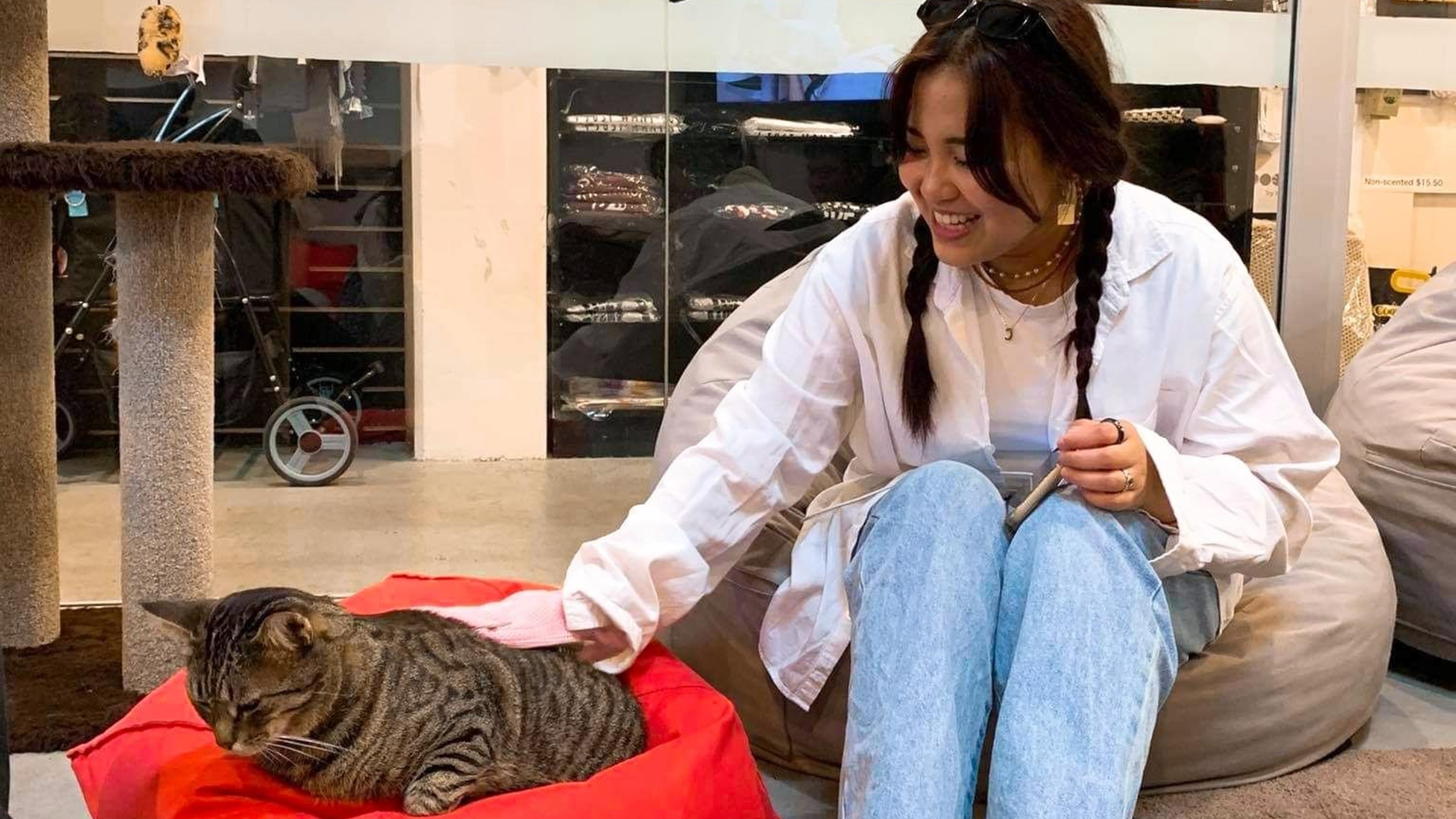 Student sitting on bean bag, petting cat at cat cafe.