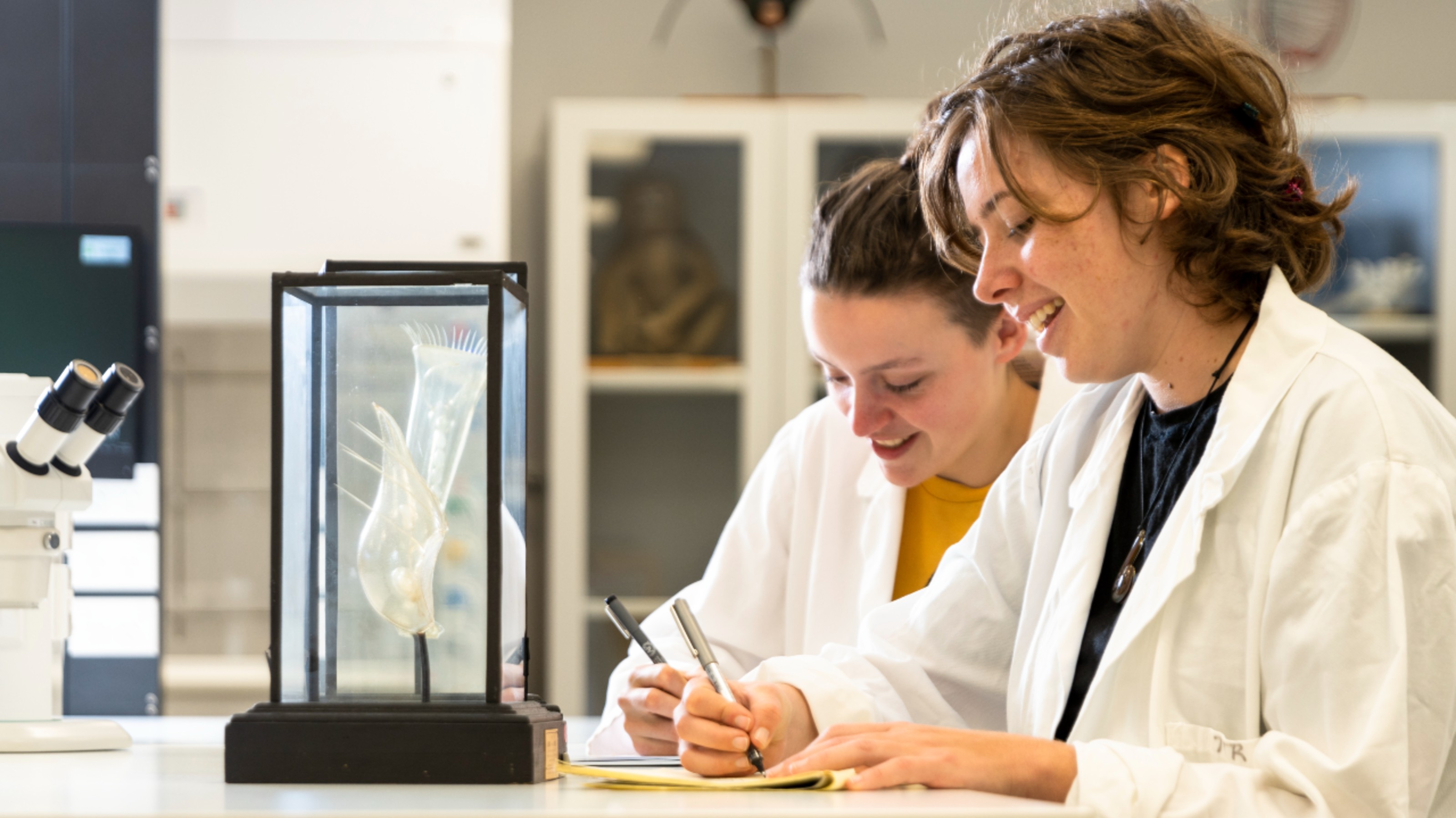 Two students in a lab study an organism within a glass case.