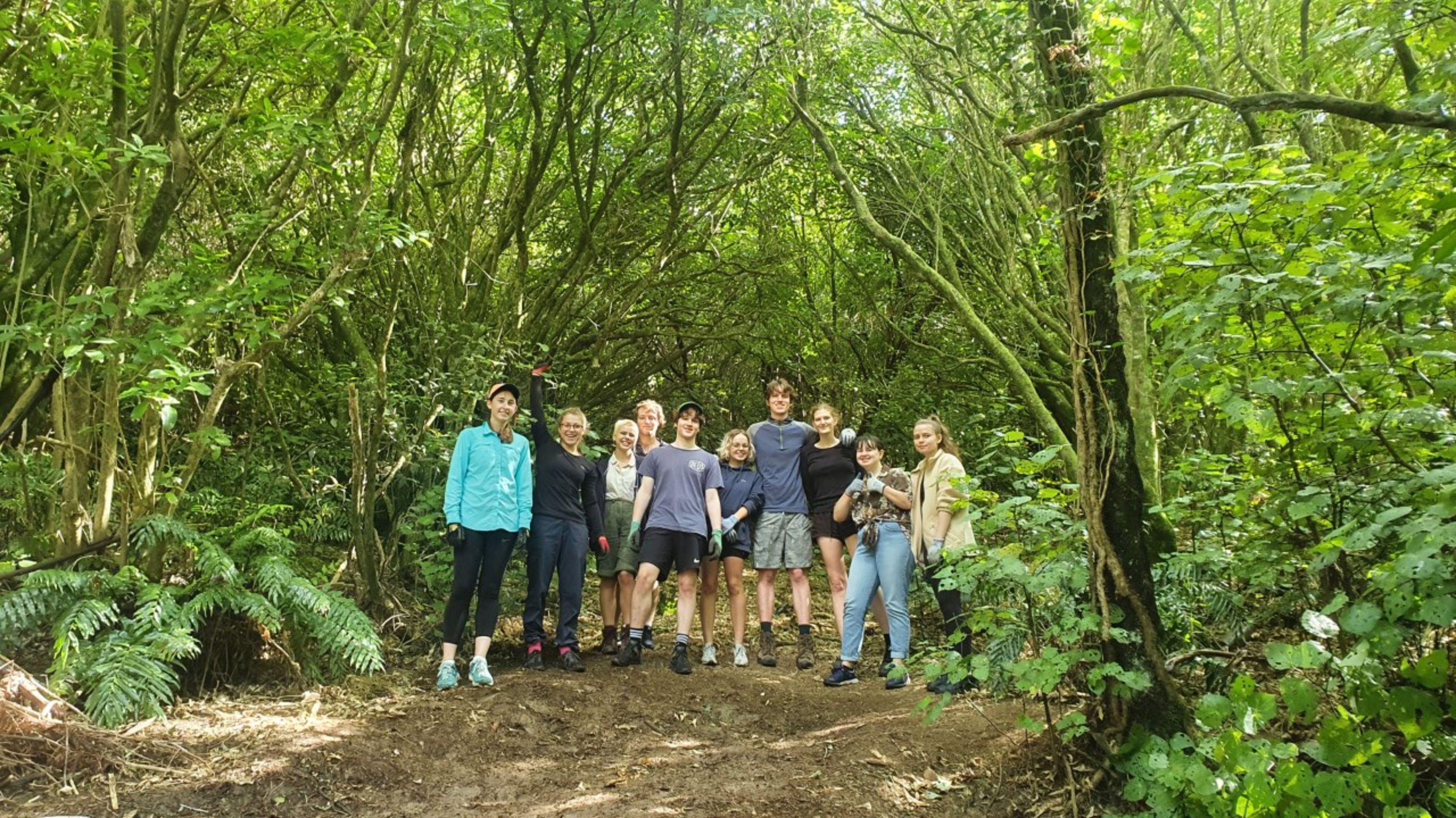 forest-group
