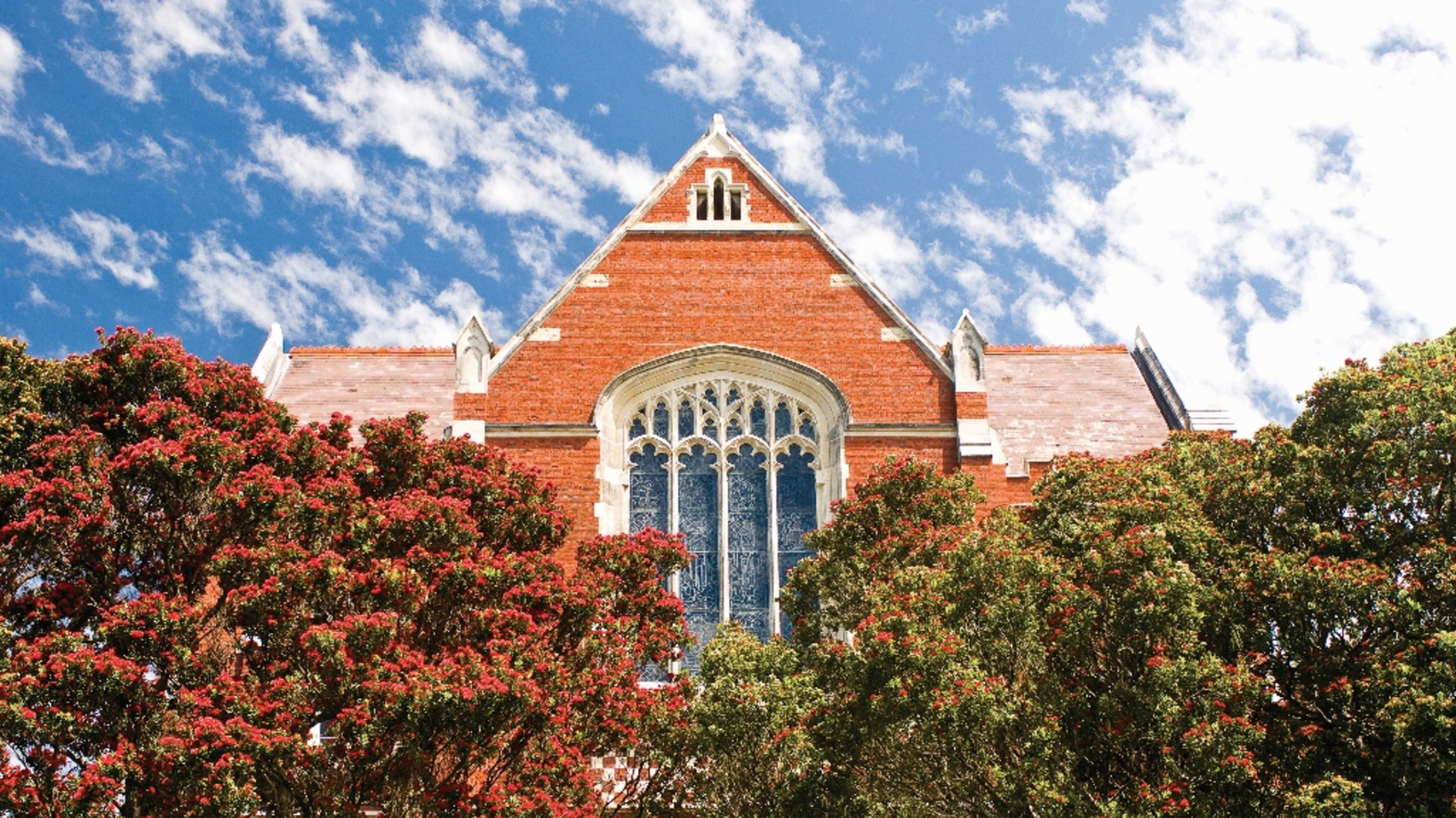 Hunter buidling with pohutukawa trees in front.