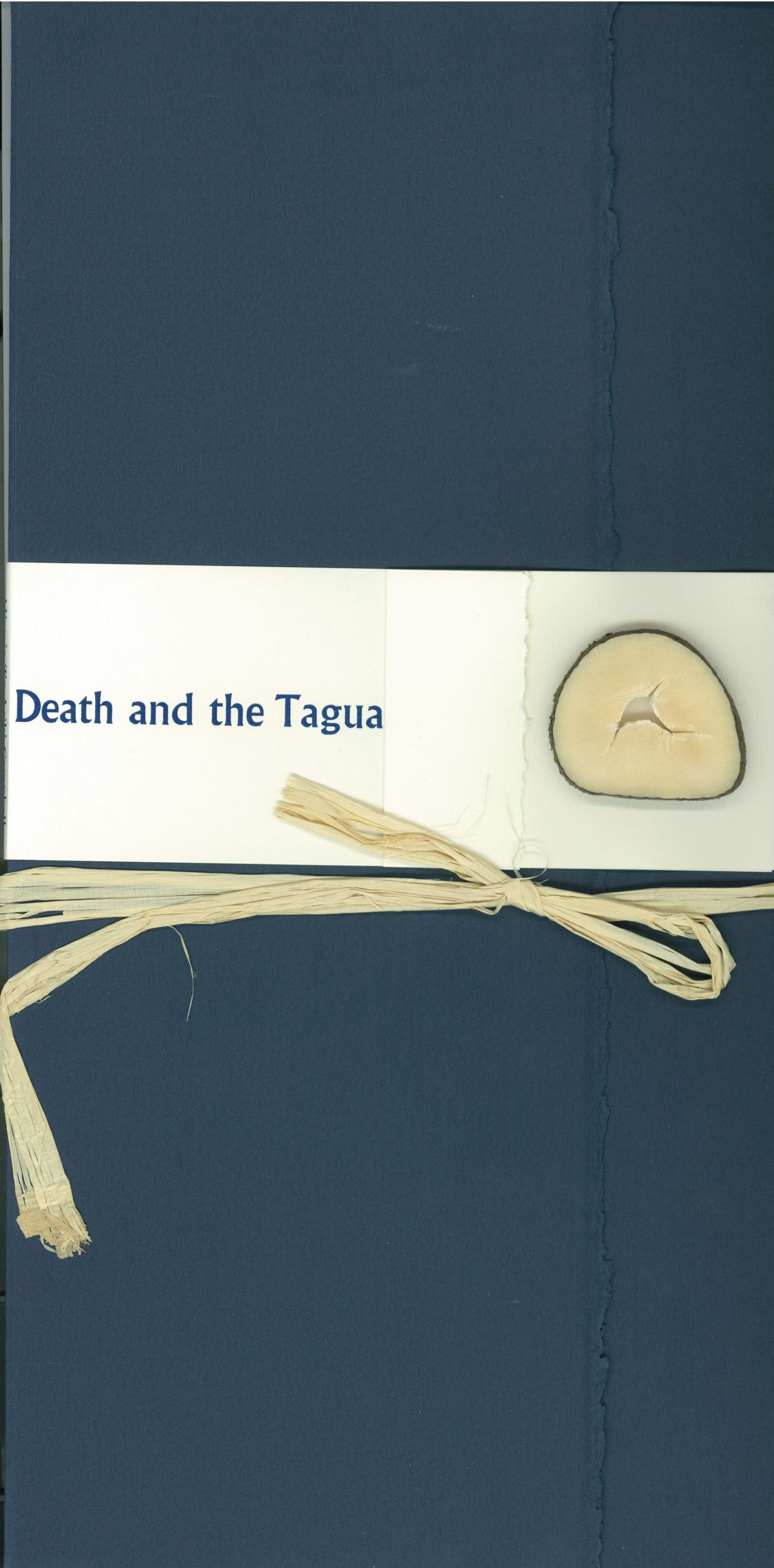 campbell-death-cover.jpg Blue cover with rafia and stone for Campbell's poem Death and the Tagua.