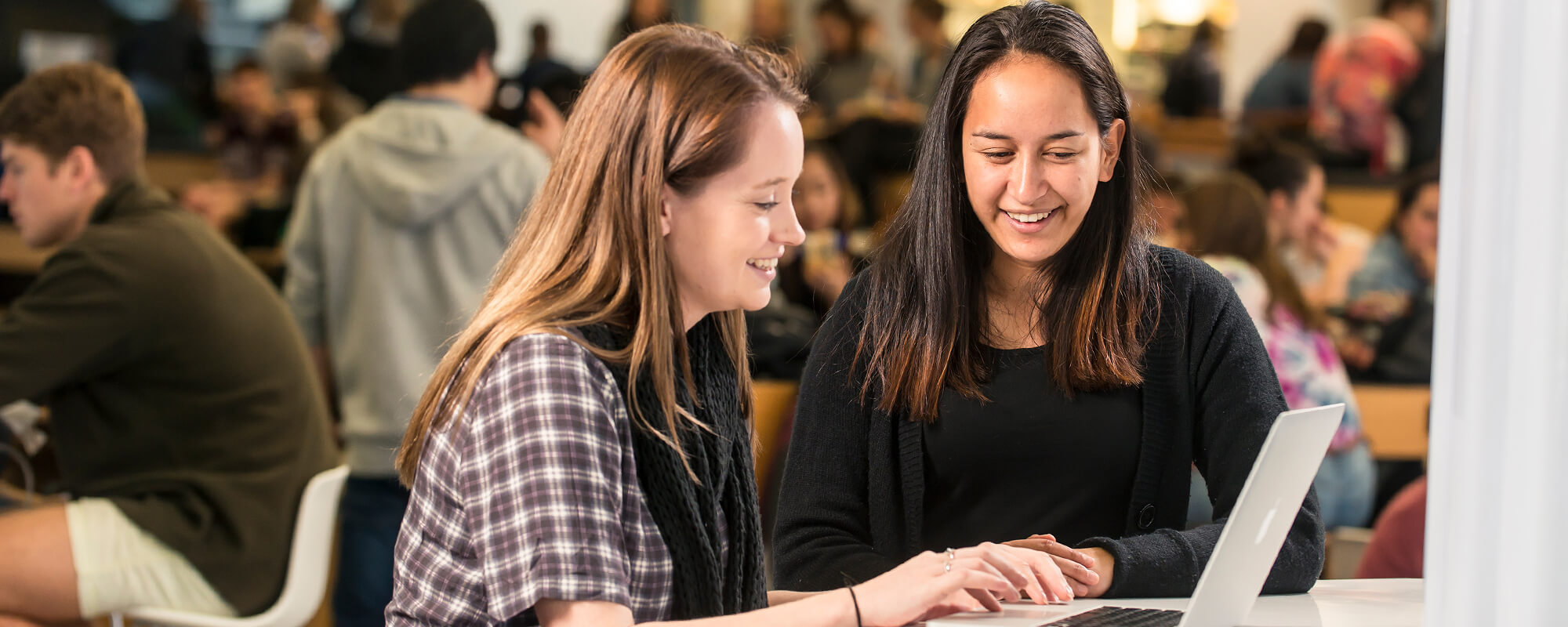 Students in the hub reading from a laptop at Kelburn campus.