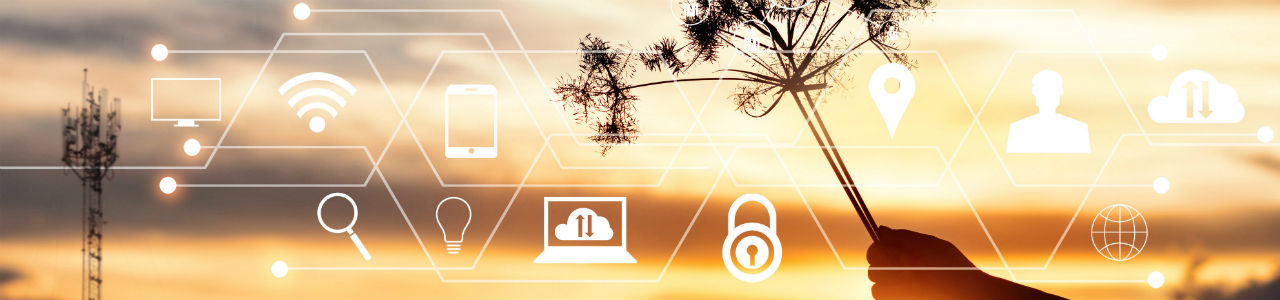 An image of a hand holding a small plant with different icons that show a tablet, a laptop, a lock and other elements related to information technology.