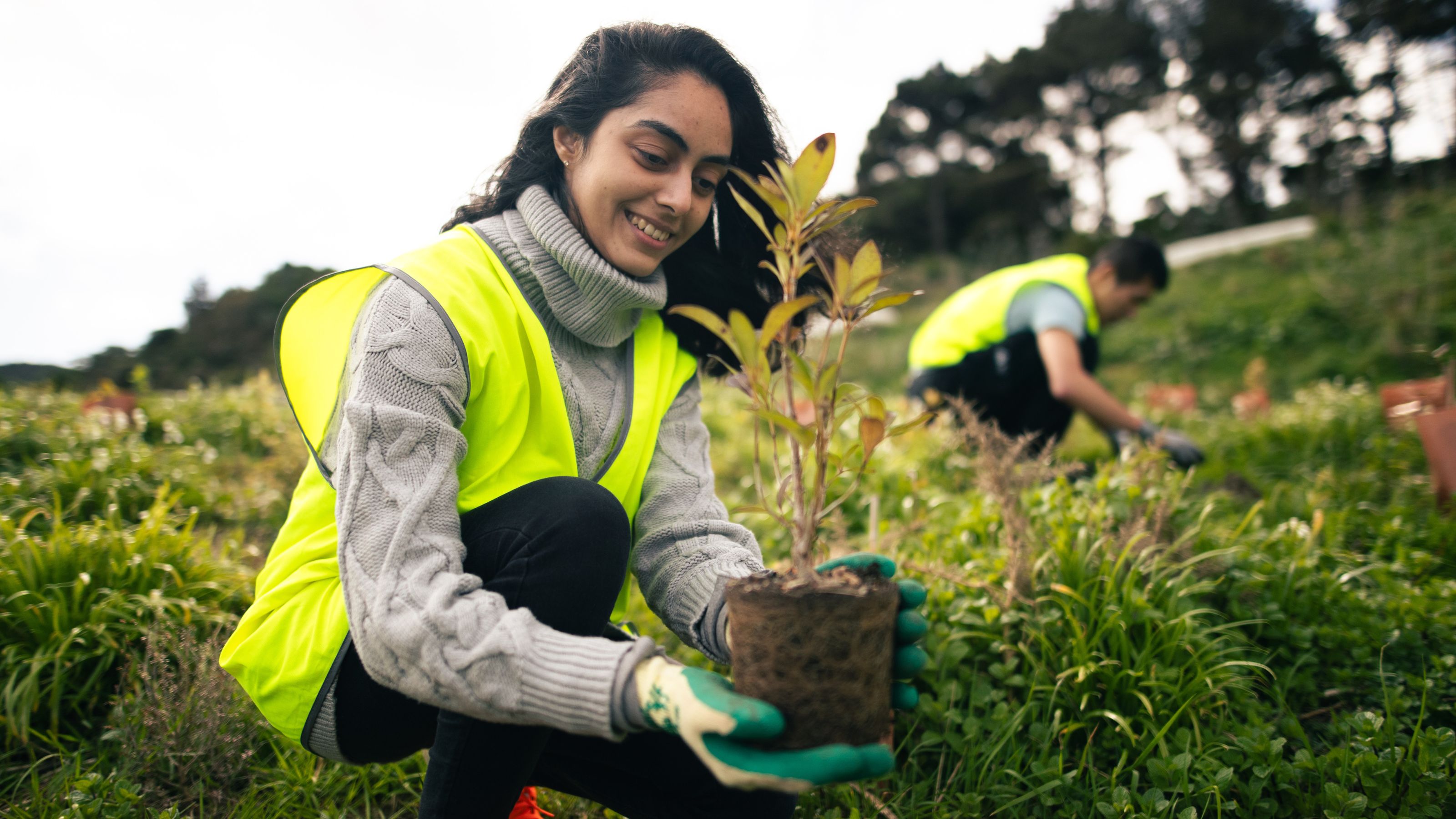 Student from volunteering programme planting a tree