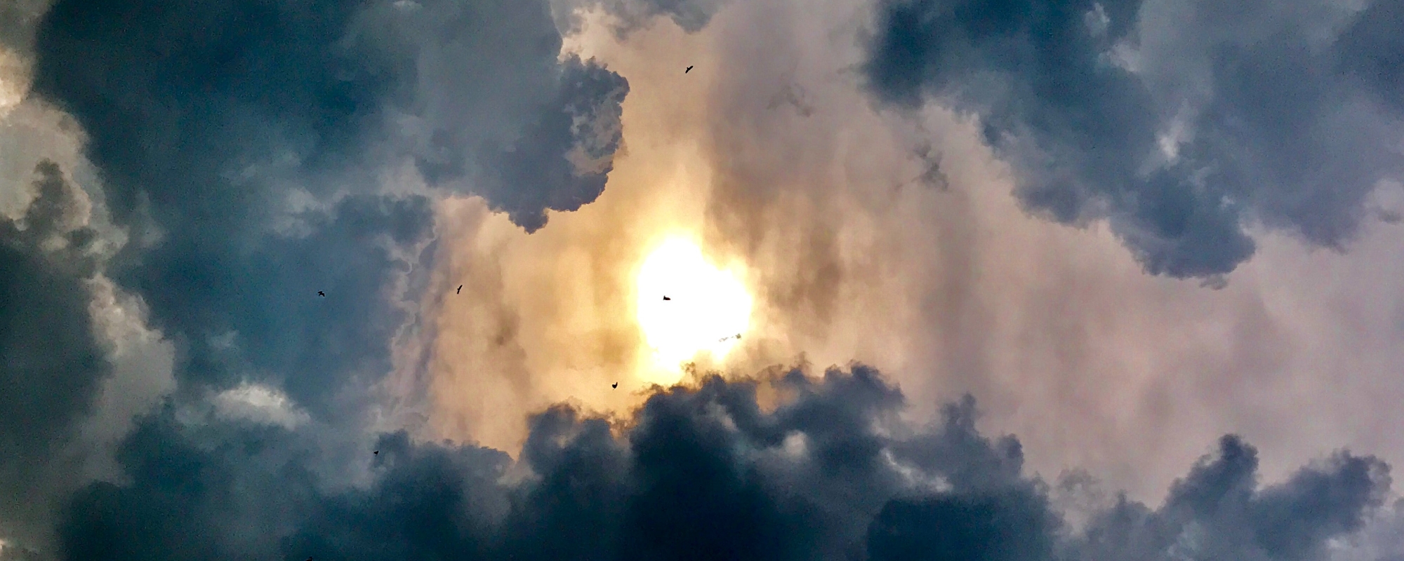 Sun surrounded by dark storm clouds with silhouettes of birds in distance