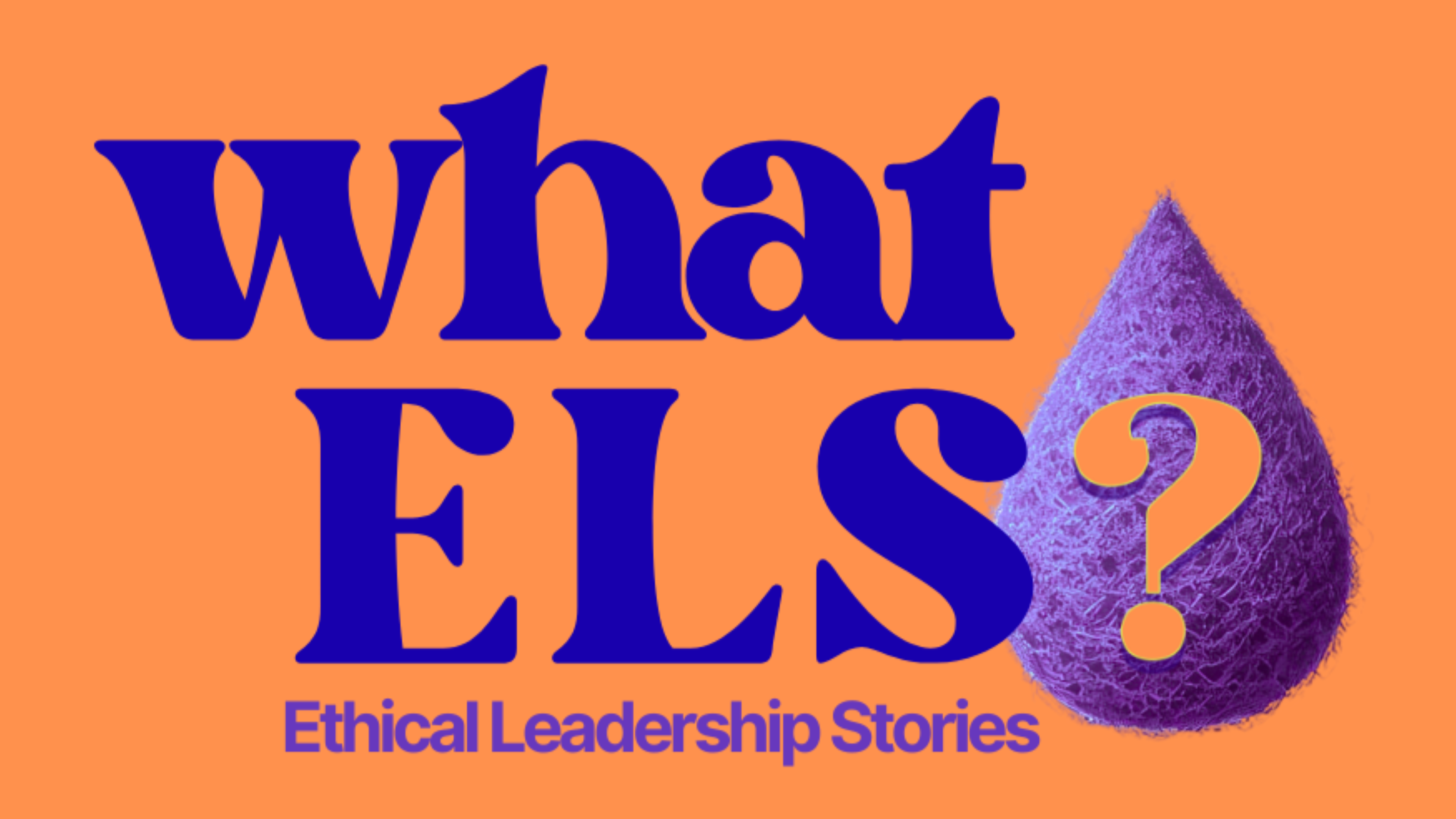 Logo that says "what ELS" with orange background