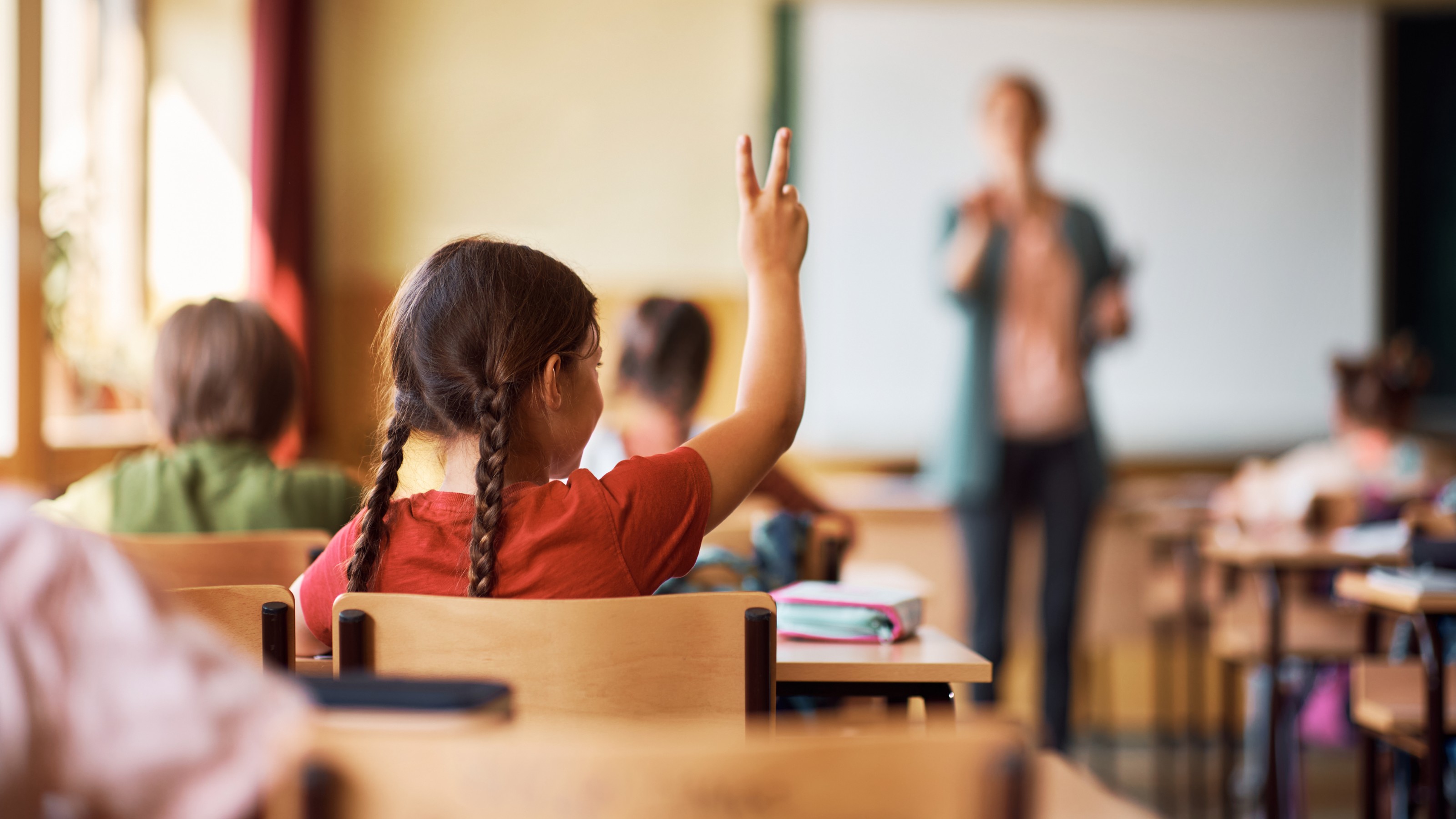 Rear view of a schoolgirl in a red shirt raising her hand to ask a question.