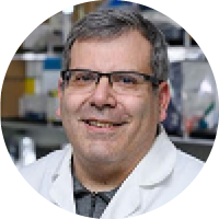 Phil Santagelo profile photo Phil Santagelo profile photo