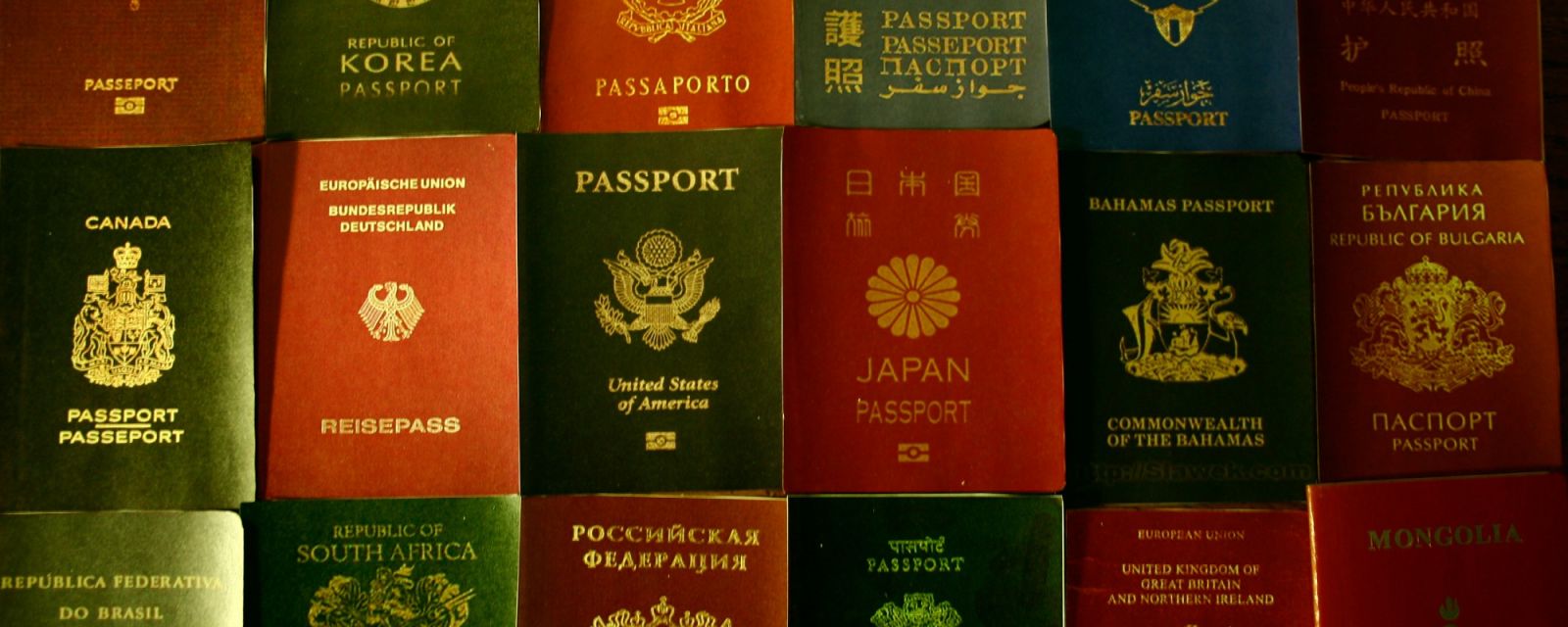 Many passports laid on a flat surface side by side from a wide variety of countries