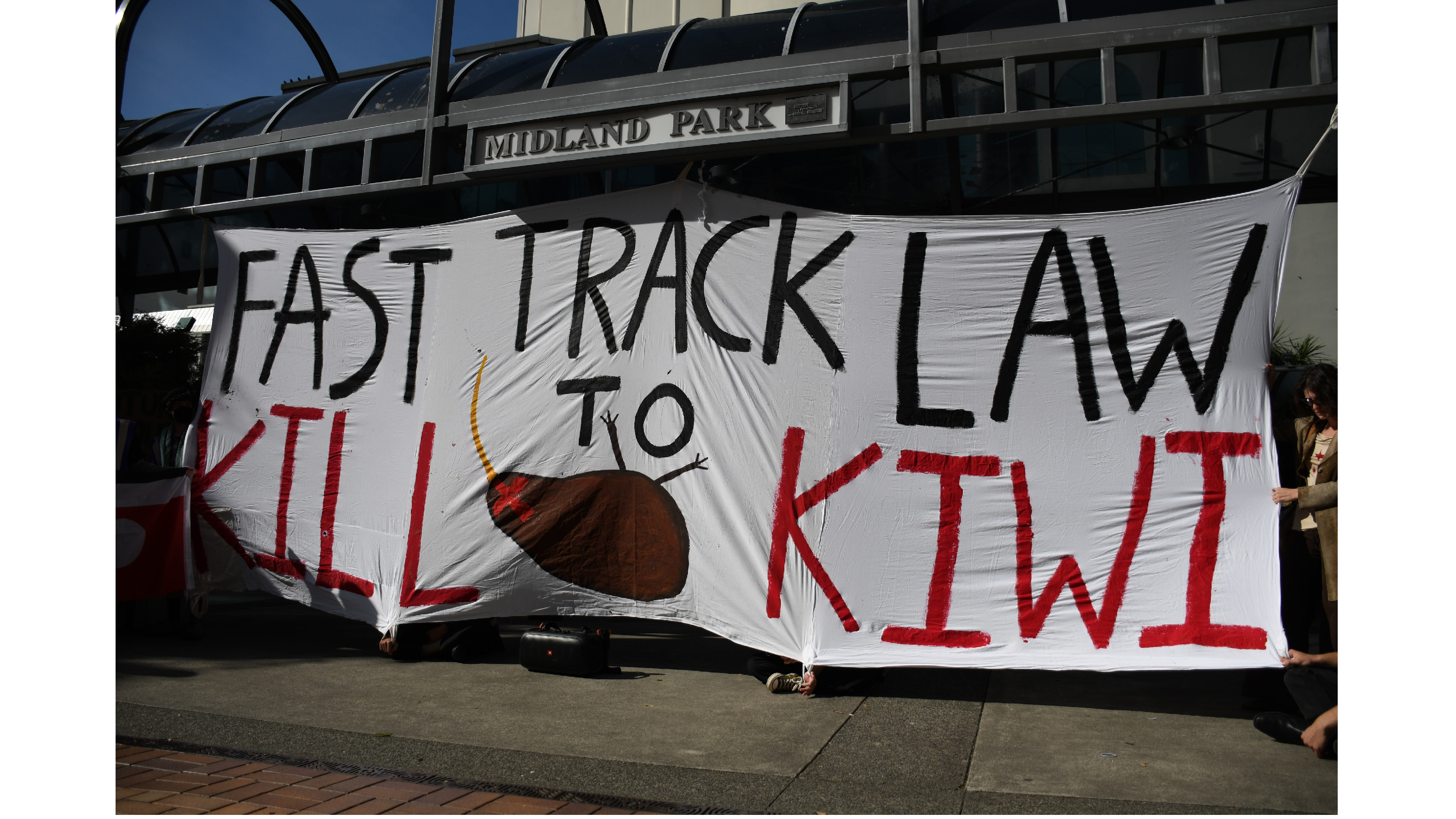 A protest banner with a drawing of a dead kiwi