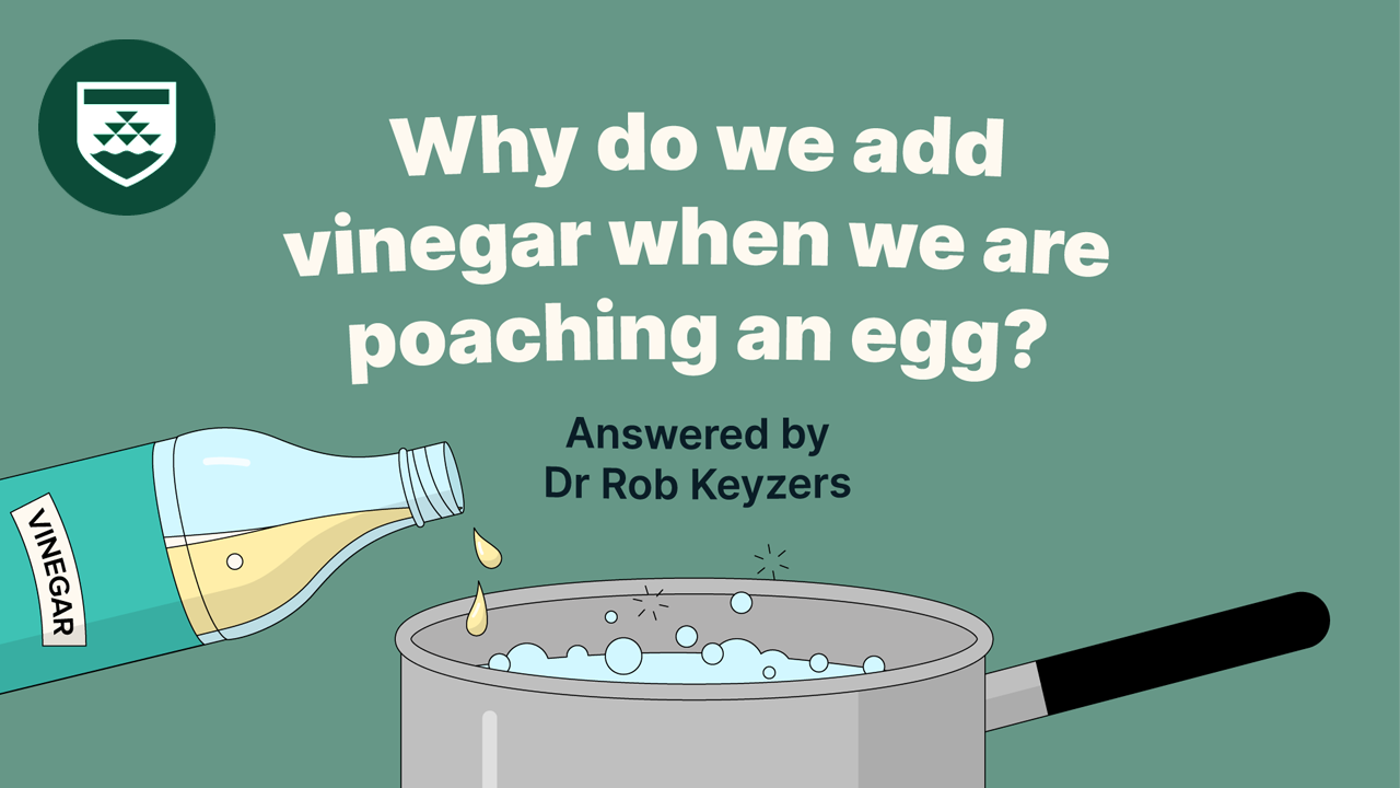 An illustrated image of a boiling pot with vinegar being poured into it and the text "Why do we add vinegar when we are poaching an egg?" Illustration provided by National Park agency, copyright Victoria University of Wellington.